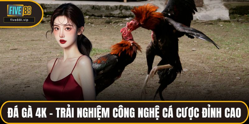 Đá Gà 4K – Trải Nghiệm Công Nghệ Cá Cược Đỉnh Cao