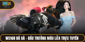 Ws168 Đá Gà – Đấu Trường Máu Lửa Trực Tuyến